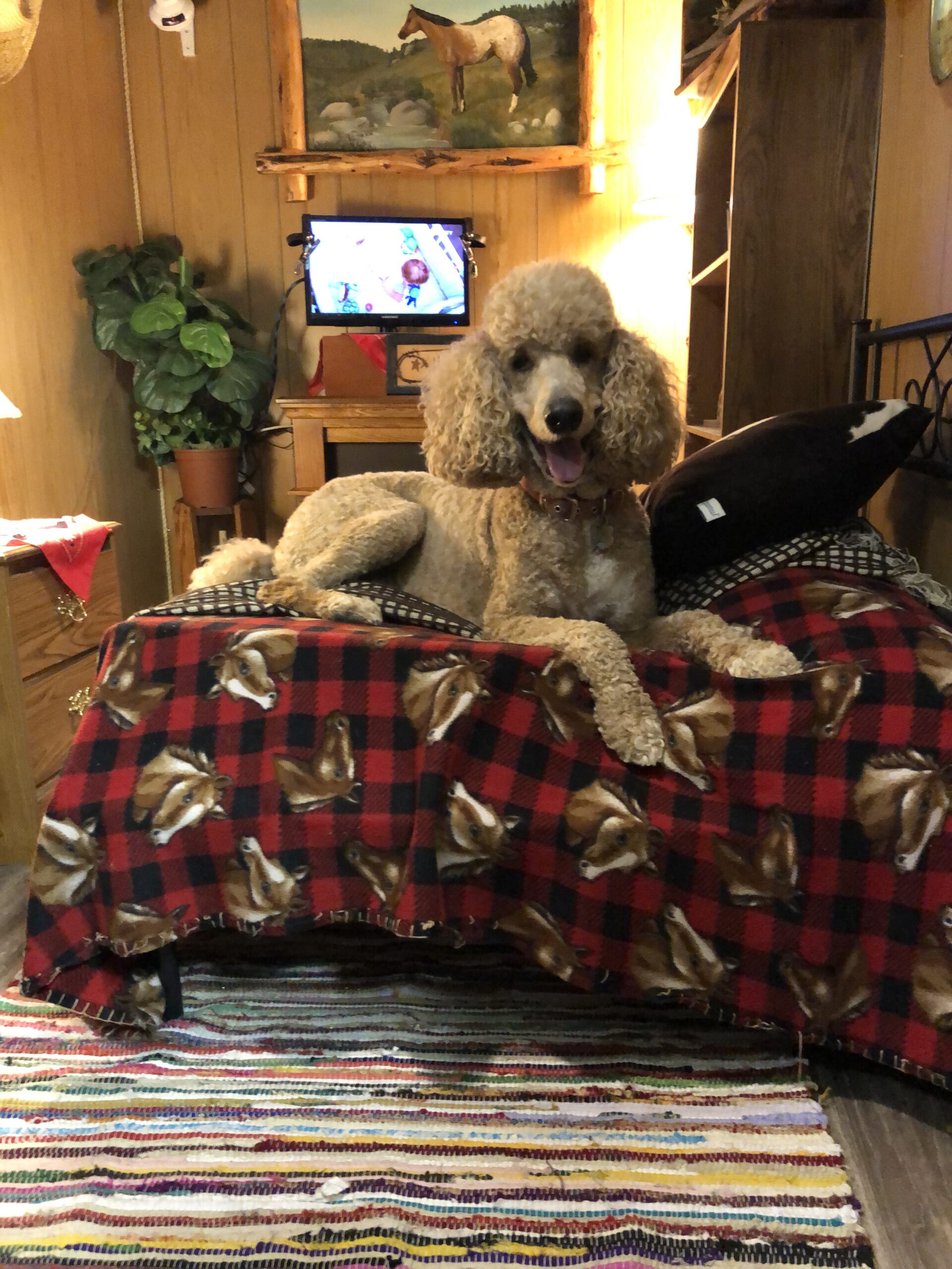 Luxury cottage interior