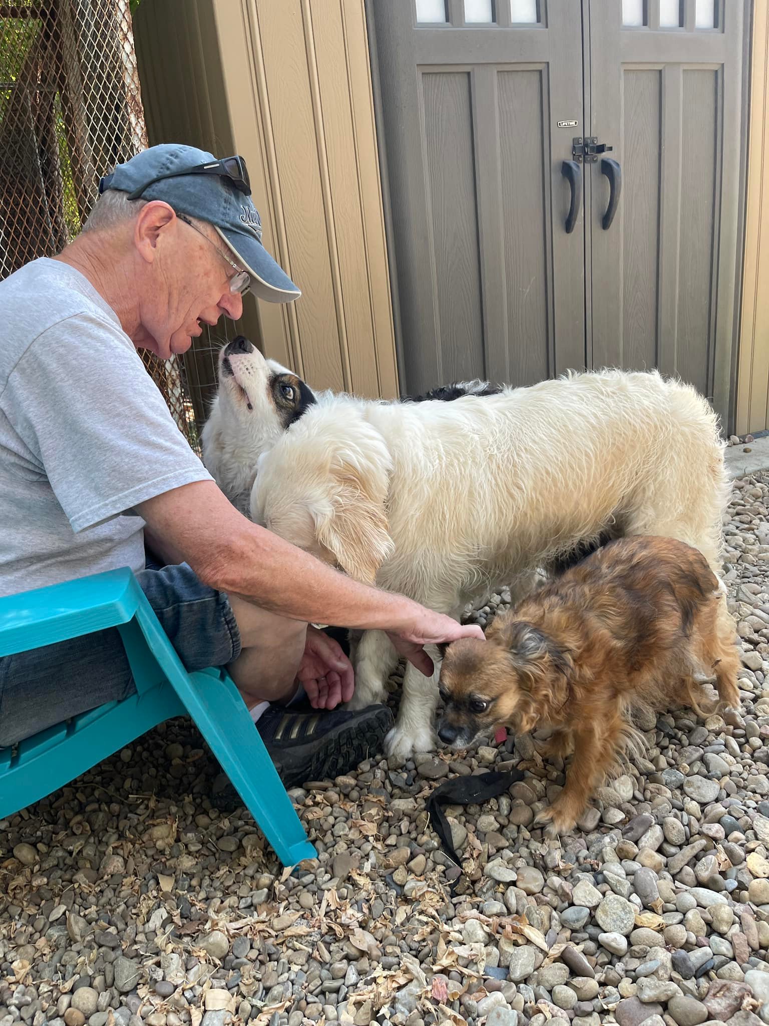 Dennis with dogs