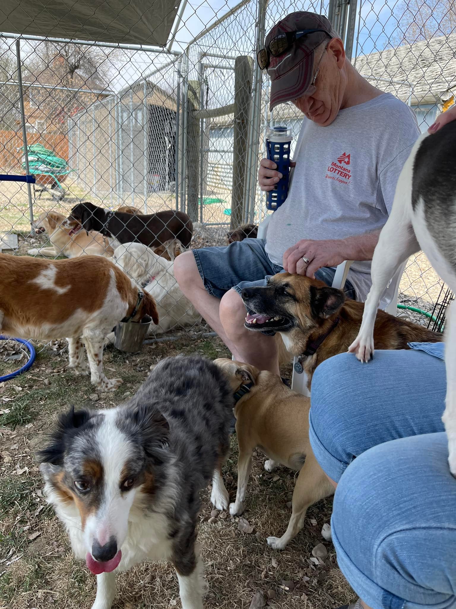Dennis Heggem with dogs