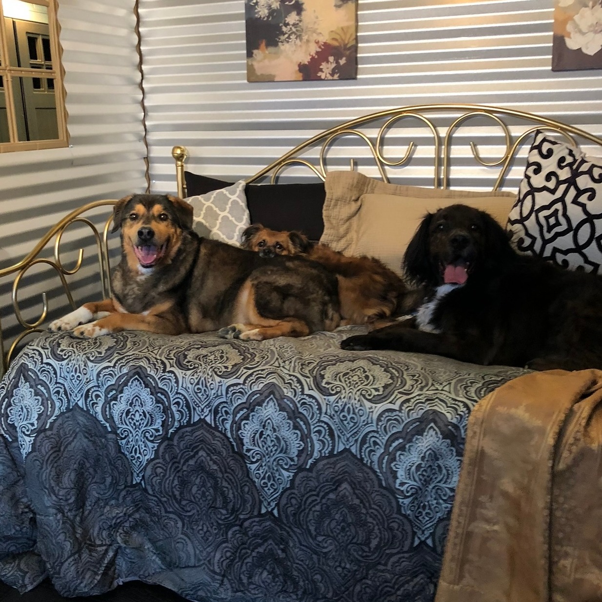 Super Deluxe Cottage interior