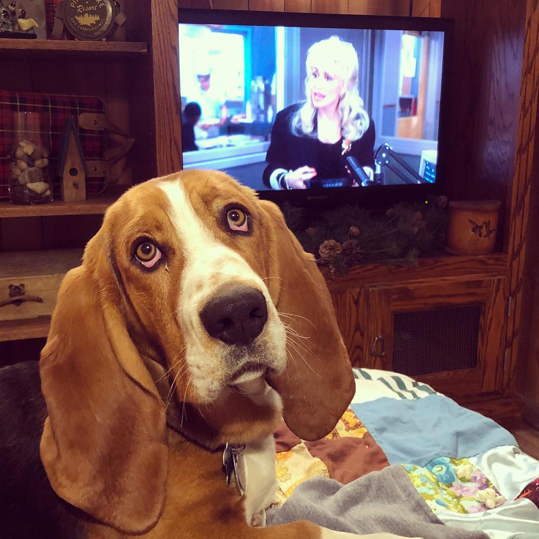 Luxury Themed Cottage interior